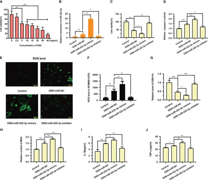 https://cdn.ncbi.nlm.nih.gov/pmc/blobs/d25c/9911687/0de8690d62b4/fimmu-14-1089809-g002.jpg