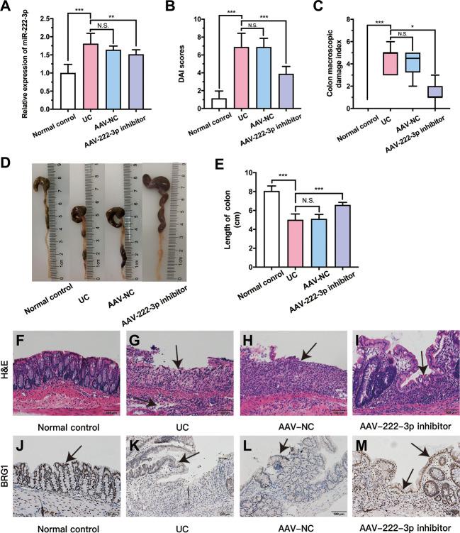 https://cdn.ncbi.nlm.nih.gov/pmc/blobs/d25c/9911687/f7b2730e1684/fimmu-14-1089809-g005.jpg