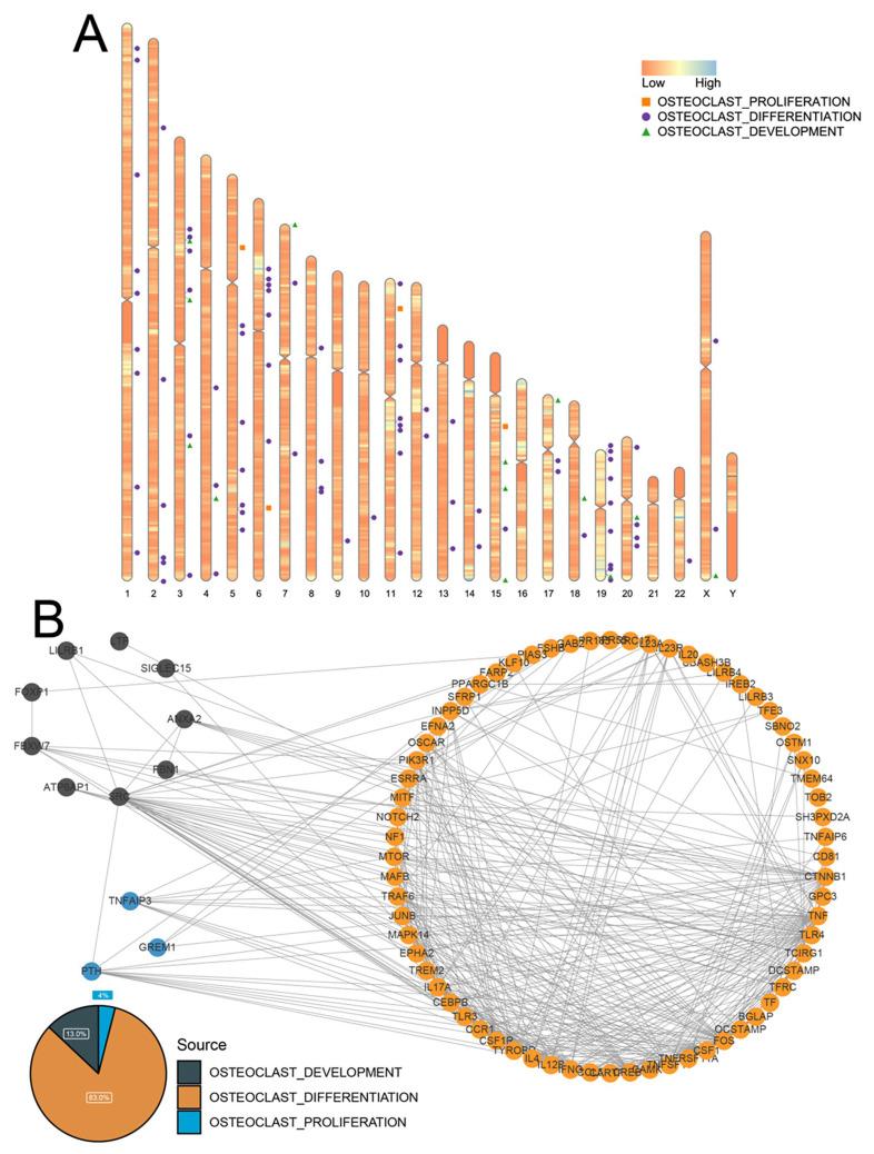 https://cdn.ncbi.nlm.nih.gov/pmc/blobs/d25d/10604900/1e2192646b24/biomedicines-11-02701-g001.jpg