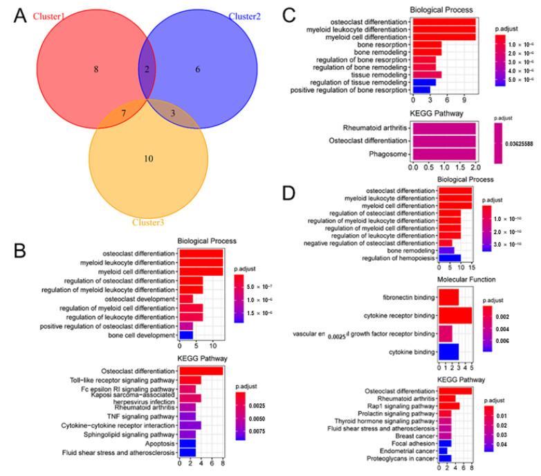 https://cdn.ncbi.nlm.nih.gov/pmc/blobs/d25d/10604900/999ecf822623/biomedicines-11-02701-g010.jpg