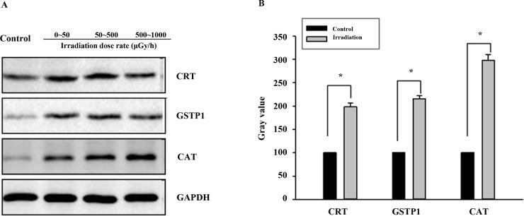 https://cdn.ncbi.nlm.nih.gov/pmc/blobs/d25e/5607120/7d23dc610a60/pone.0182671.g005.jpg