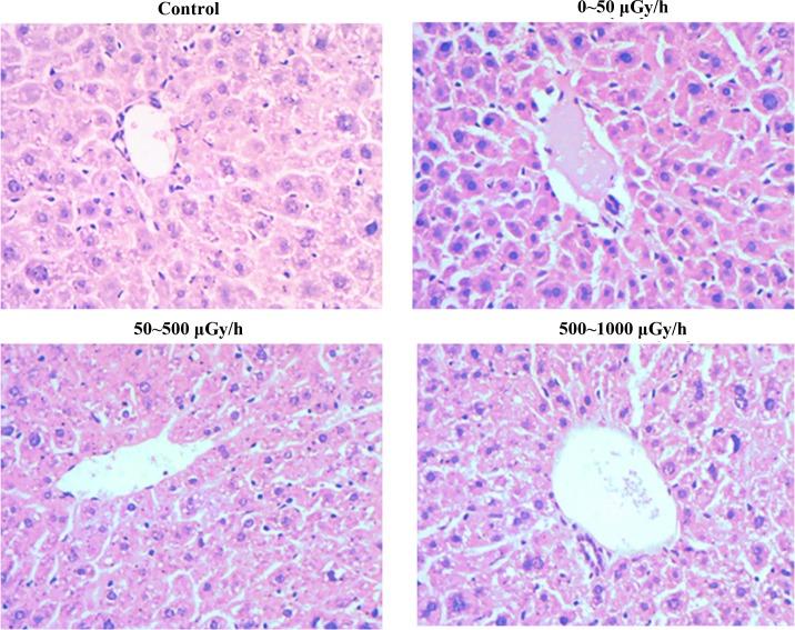 https://cdn.ncbi.nlm.nih.gov/pmc/blobs/d25e/5607120/ab61fbb22e3c/pone.0182671.g001.jpg