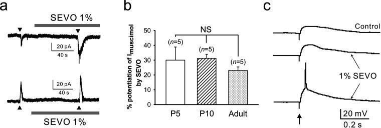https://cdn.ncbi.nlm.nih.gov/pmc/blobs/d262/3978704/15af7ea06975/an2014-0004i004.jpg