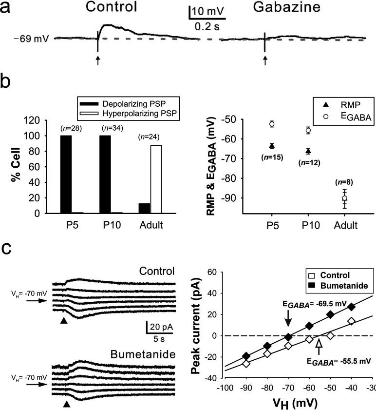 https://cdn.ncbi.nlm.nih.gov/pmc/blobs/d262/3978704/7a78a855c7cc/an2014-0004i003.jpg