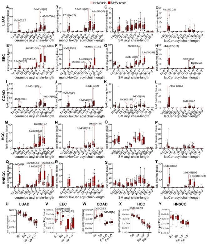 https://cdn.ncbi.nlm.nih.gov/pmc/blobs/d266/10136787/7a0dbd8fff6b/cancers-15-02238-g003.jpg