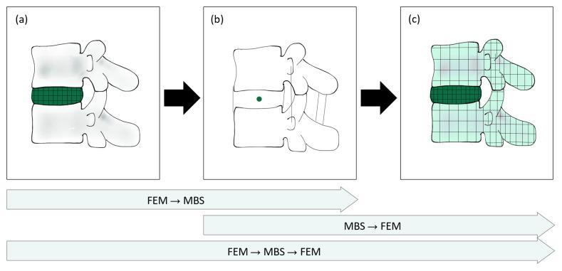 https://cdn.ncbi.nlm.nih.gov/pmc/blobs/d267/10045105/17ed68dee0b1/bioengineering-10-00315-g001.jpg