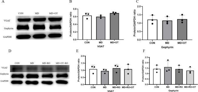 https://cdn.ncbi.nlm.nih.gov/pmc/blobs/d267/11982226/525fa1b068ad/41598_2025_96573_Fig12_HTML.jpg