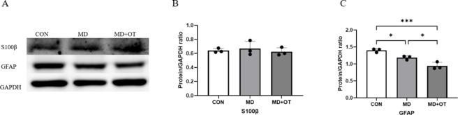 https://cdn.ncbi.nlm.nih.gov/pmc/blobs/d267/11982226/94384c71ab0c/41598_2025_96573_Fig4_HTML.jpg
