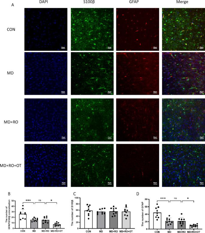 https://cdn.ncbi.nlm.nih.gov/pmc/blobs/d267/11982226/a1b93a524e9a/41598_2025_96573_Fig7_HTML.jpg