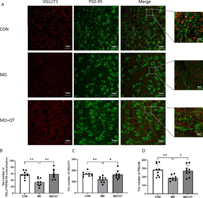 https://cdn.ncbi.nlm.nih.gov/pmc/blobs/d267/11982226/c473ced84874/41598_2025_96573_Fig9_HTML.jpg
