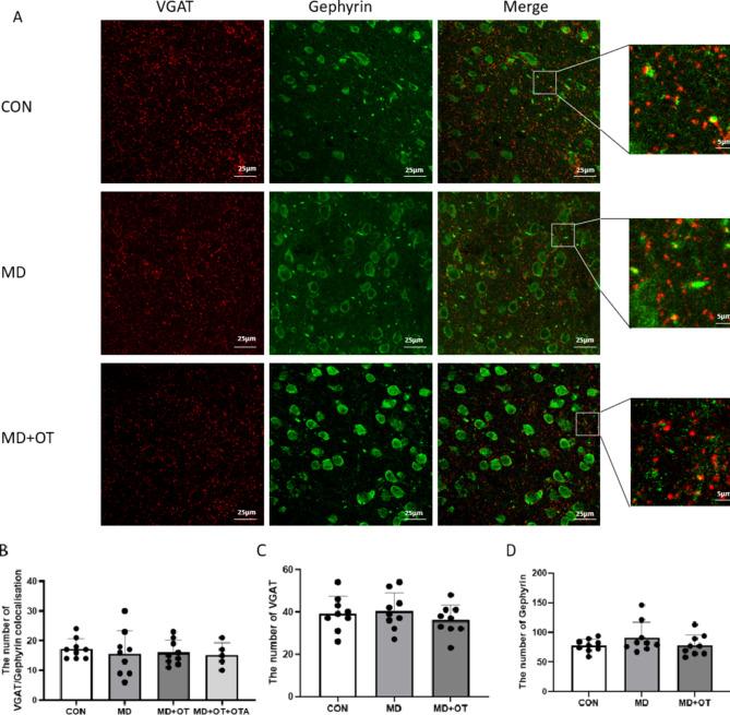 https://cdn.ncbi.nlm.nih.gov/pmc/blobs/d267/11982226/e70499034249/41598_2025_96573_Fig13a_HTML.jpg