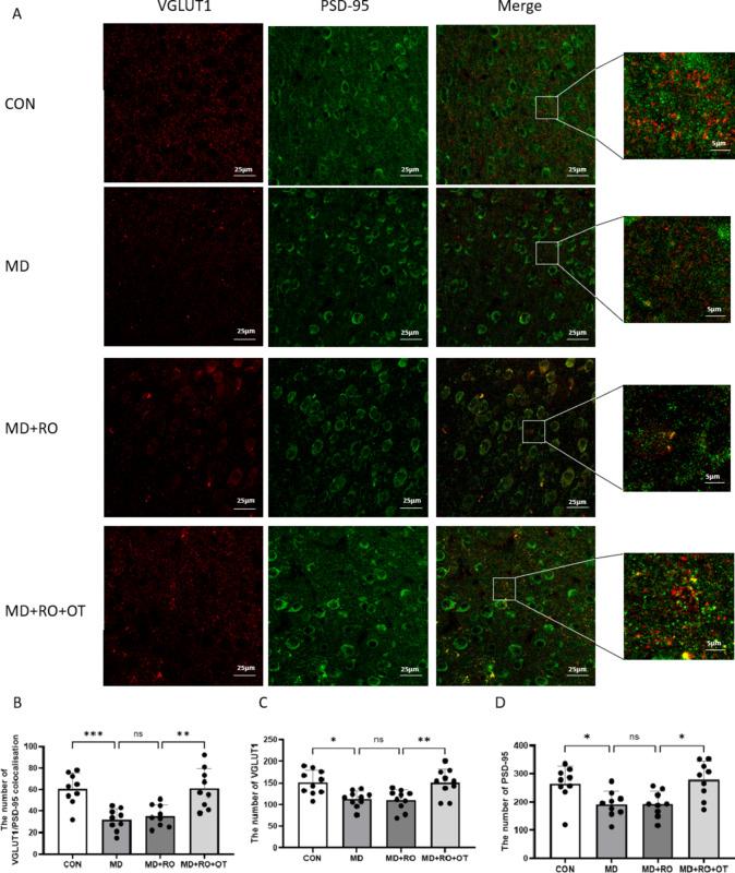 https://cdn.ncbi.nlm.nih.gov/pmc/blobs/d267/11982226/fc5a48f077d6/41598_2025_96573_Fig11_HTML.jpg