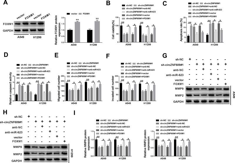 https://cdn.ncbi.nlm.nih.gov/pmc/blobs/d267/7871177/0f4a74c705f6/CMAR-13-1029-g0005.jpg
