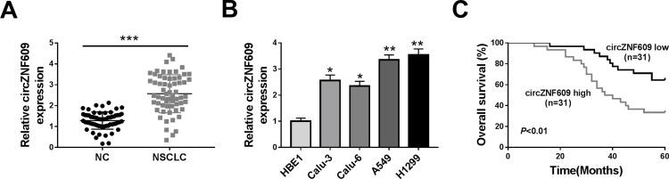 https://cdn.ncbi.nlm.nih.gov/pmc/blobs/d267/7871177/5a23413934af/CMAR-13-1029-g0001.jpg