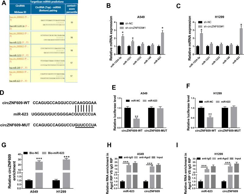 https://cdn.ncbi.nlm.nih.gov/pmc/blobs/d267/7871177/92ce086ca66c/CMAR-13-1029-g0003.jpg