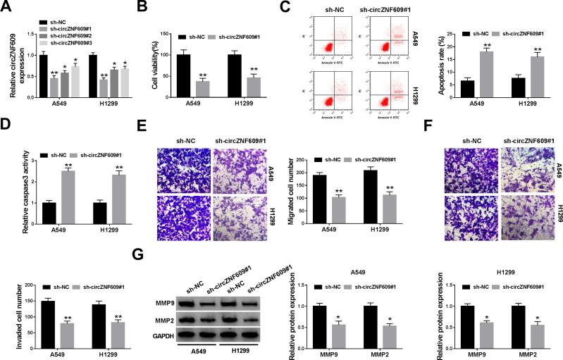 https://cdn.ncbi.nlm.nih.gov/pmc/blobs/d267/7871177/eedb0b752206/CMAR-13-1029-g0002.jpg