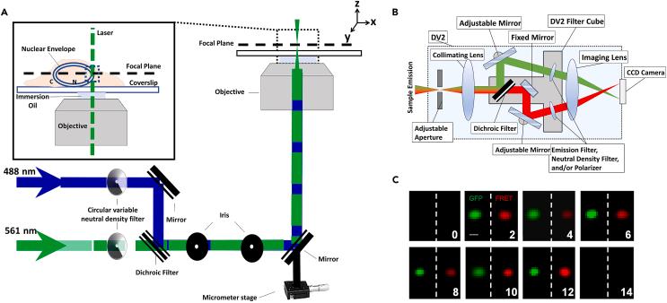 https://cdn.ncbi.nlm.nih.gov/pmc/blobs/d269/10770744/838853564ee5/gr1.jpg