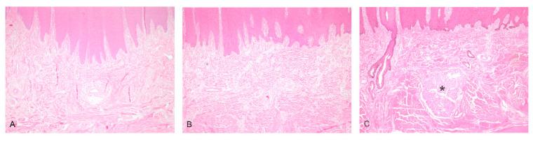 https://cdn.ncbi.nlm.nih.gov/pmc/blobs/d269/10815684/be0cc908617d/genes-15-00008-g005.jpg