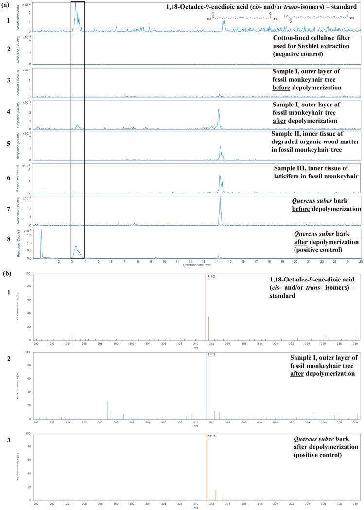 https://cdn.ncbi.nlm.nih.gov/pmc/blobs/d26a/10761729/11500f49015d/41598_2023_50402_Fig4_HTML.jpg