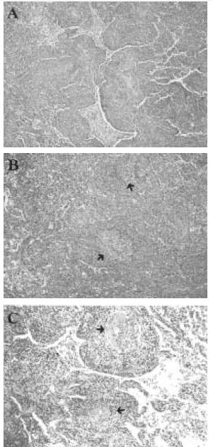 https://cdn.ncbi.nlm.nih.gov/pmc/blobs/d26d/4531674/b6490b9d0901/kjim-17-3-198-7f5.jpg