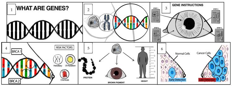 https://cdn.ncbi.nlm.nih.gov/pmc/blobs/d26e/10252022/9fac227fe7ce/cancers-15-02973-g003.jpg