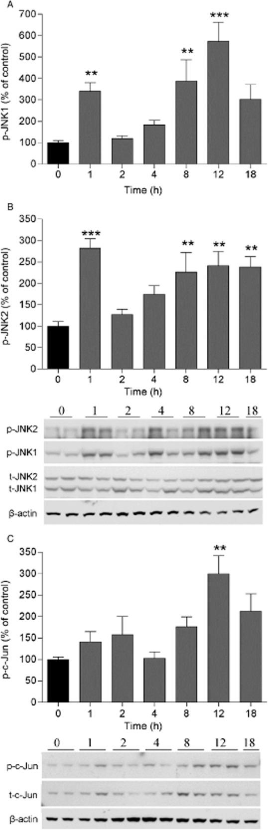 https://cdn.ncbi.nlm.nih.gov/pmc/blobs/d26f/4322475/f9a1c8e883b8/ejp0019-0260-f3.jpg
