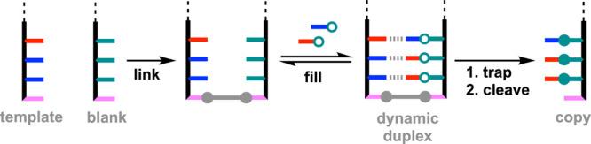 https://cdn.ncbi.nlm.nih.gov/pmc/blobs/d270/12123603/8c5f966b8d59/ja5c05681_0003.jpg