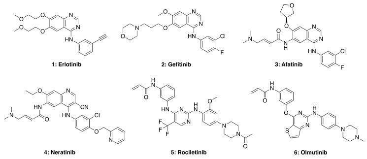 https://cdn.ncbi.nlm.nih.gov/pmc/blobs/d271/7922143/7e7fca182d88/molecules-26-01076-g004.jpg