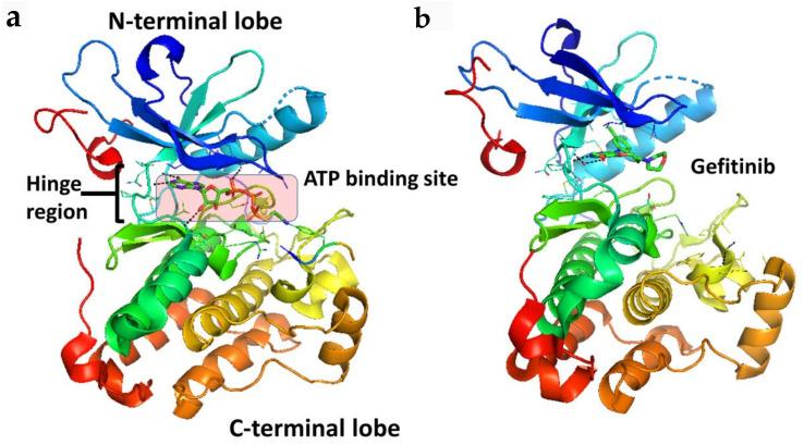 https://cdn.ncbi.nlm.nih.gov/pmc/blobs/d271/7922143/cc74fed047a3/molecules-26-01076-g002.jpg