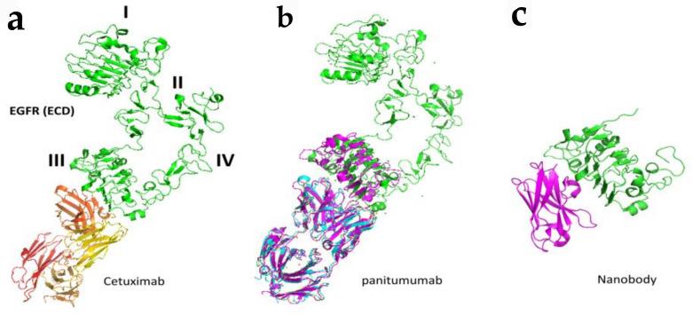 https://cdn.ncbi.nlm.nih.gov/pmc/blobs/d271/7922143/ea84b21a045b/molecules-26-01076-g005.jpg