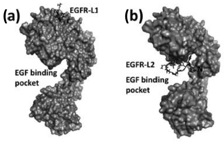 https://cdn.ncbi.nlm.nih.gov/pmc/blobs/d271/7922143/f3e42e870381/molecules-26-01076-g007.jpg