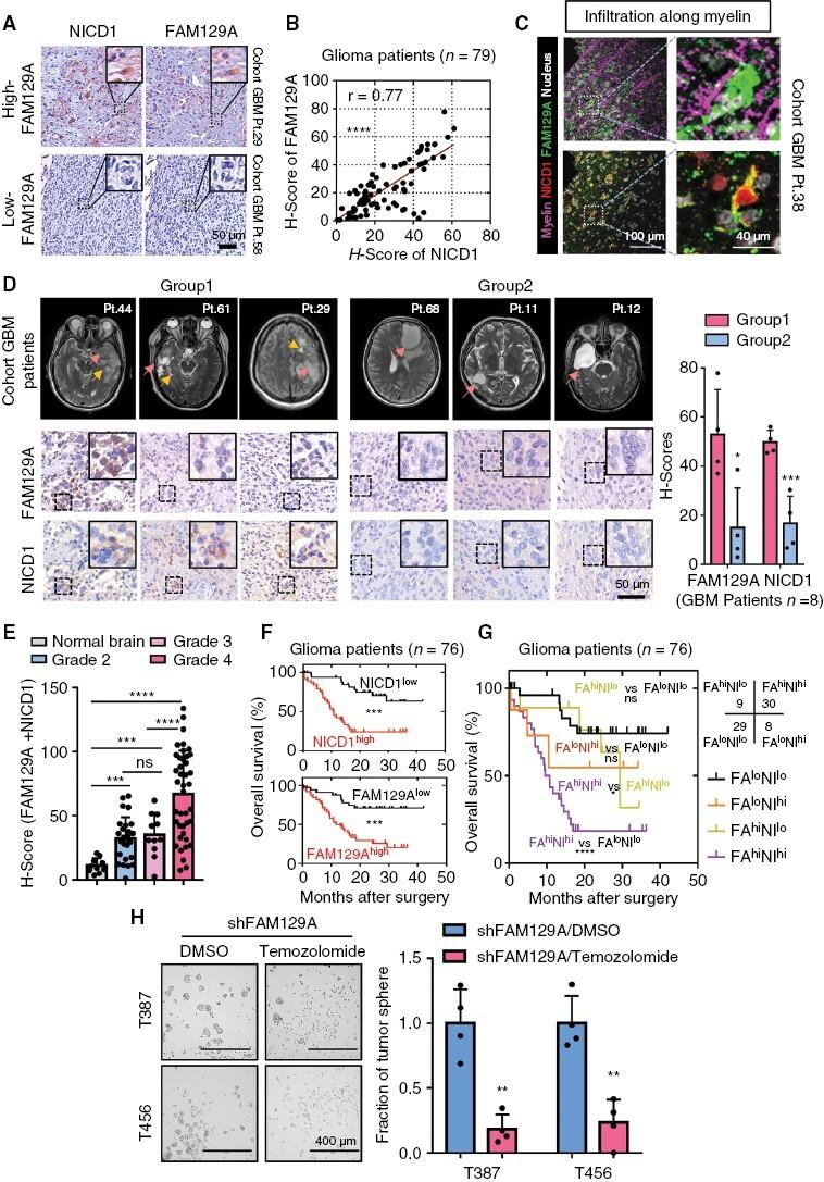 https://cdn.ncbi.nlm.nih.gov/pmc/blobs/d274/10547521/b377698456c7/noad079_fig6.jpg