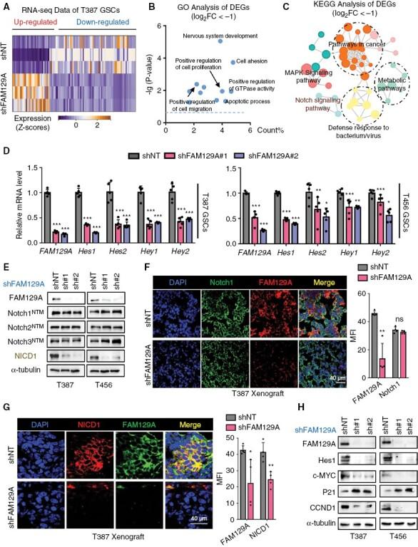https://cdn.ncbi.nlm.nih.gov/pmc/blobs/d274/10547521/ce6595677b2d/noad079_fig4.jpg