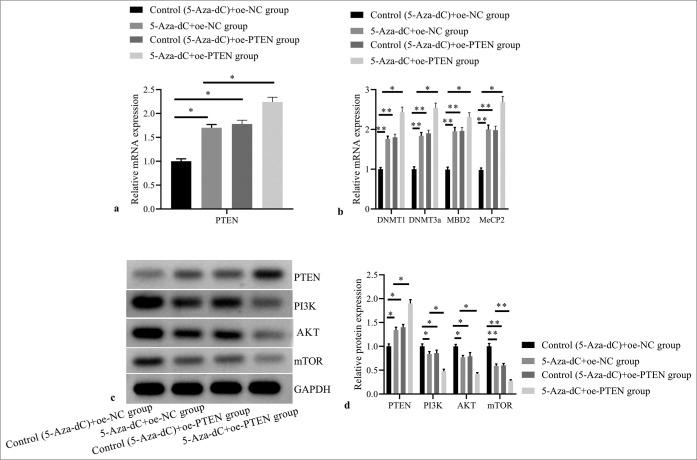 https://cdn.ncbi.nlm.nih.gov/pmc/blobs/d274/11574681/a189dbee7e2d/Cytojournal-21-36-g007.jpg