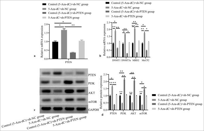 https://cdn.ncbi.nlm.nih.gov/pmc/blobs/d274/11574681/da2556d8d4cb/Cytojournal-21-36-g005.jpg
