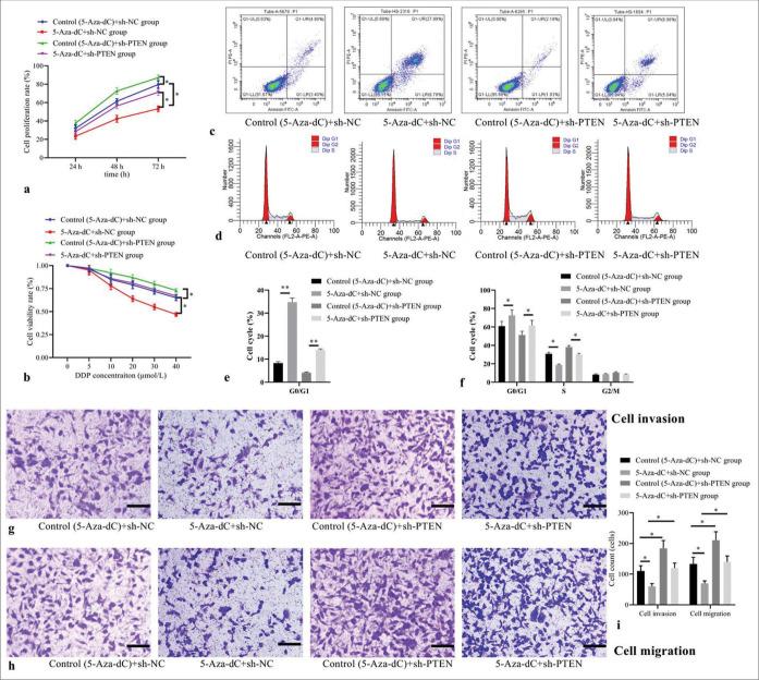 https://cdn.ncbi.nlm.nih.gov/pmc/blobs/d274/11574681/f173fc374163/Cytojournal-21-36-g004.jpg