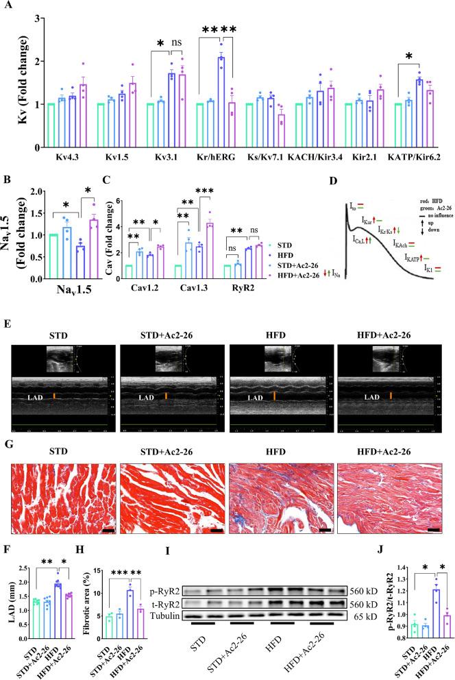 https://cdn.ncbi.nlm.nih.gov/pmc/blobs/d276/11662704/1b94774e51db/12933_2024_2545_Fig4_HTML.jpg