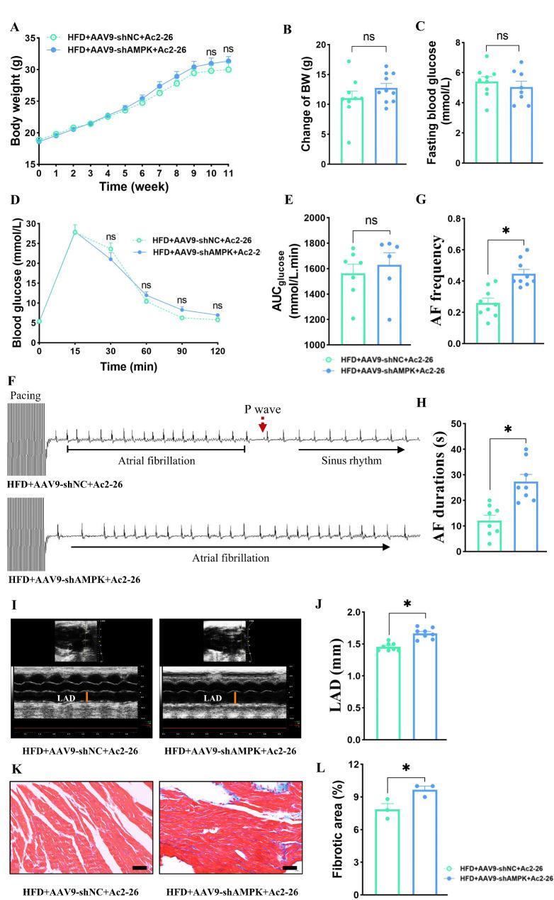 https://cdn.ncbi.nlm.nih.gov/pmc/blobs/d276/11662704/d96c121673ae/12933_2024_2545_Fig3_HTML.jpg