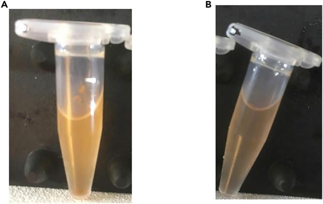 https://cdn.ncbi.nlm.nih.gov/pmc/blobs/d276/9344018/4ba4c973c0cf/gr6.jpg