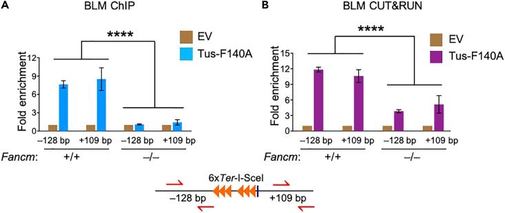 https://cdn.ncbi.nlm.nih.gov/pmc/blobs/d276/9344018/a04ae131bd2e/gr4.jpg