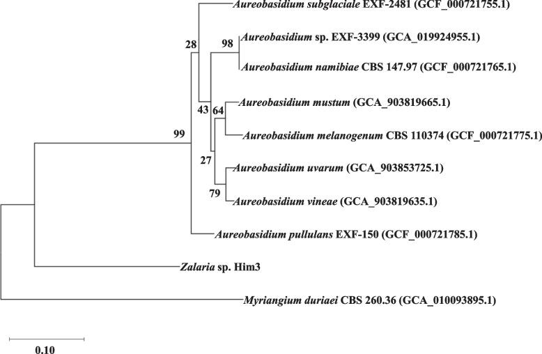 https://cdn.ncbi.nlm.nih.gov/pmc/blobs/d277/9647967/baf277bd957c/12863_2022_1094_Fig2_HTML.jpg