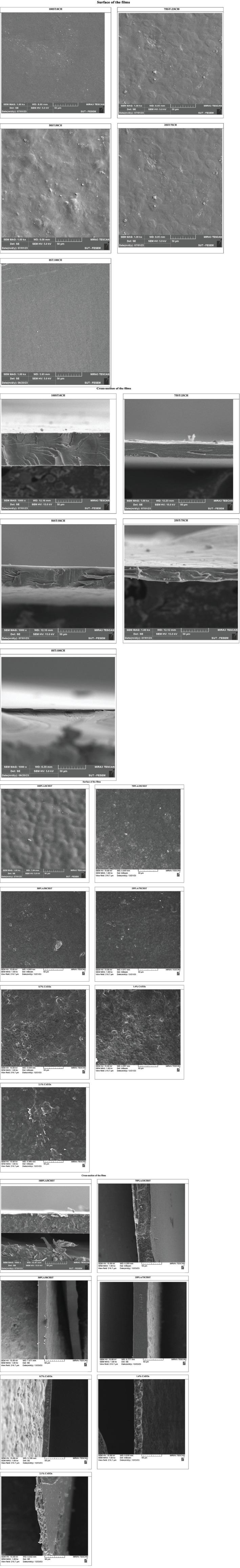 https://cdn.ncbi.nlm.nih.gov/pmc/blobs/d27a/12000679/b98a263fd619/FSN3-13-e70139-g004.jpg