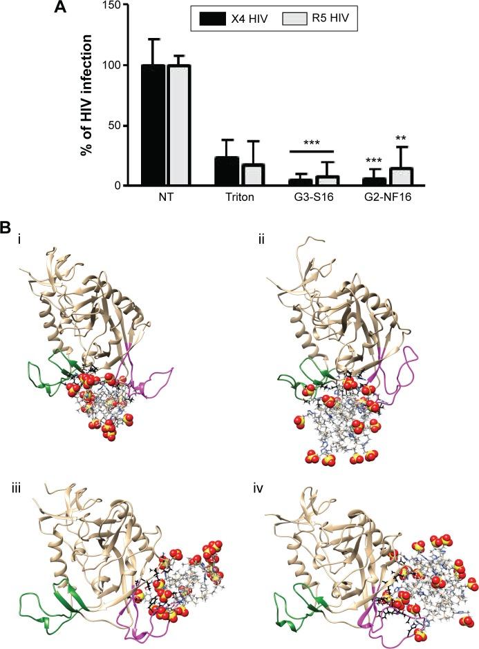 https://cdn.ncbi.nlm.nih.gov/pmc/blobs/d27a/4827595/b85c67f397ae/ijn-11-1281Fig3.jpg