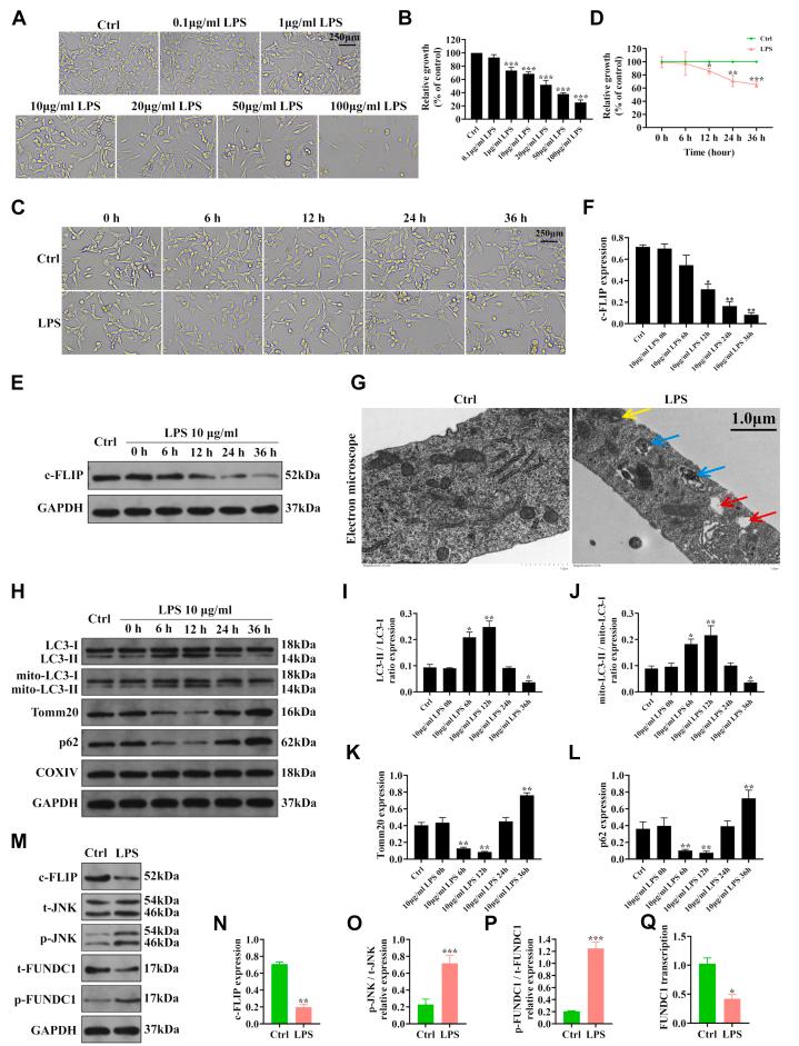 https://cdn.ncbi.nlm.nih.gov/pmc/blobs/d27b/12399170/0180d853c3d1/gr3.jpg