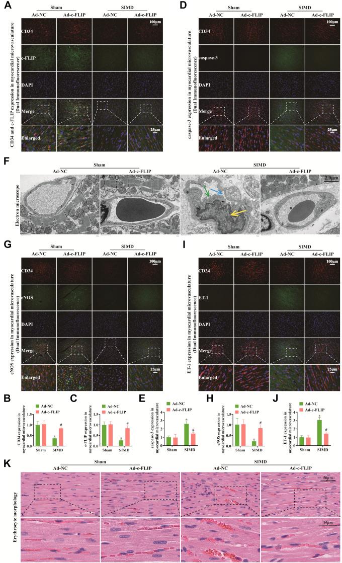 https://cdn.ncbi.nlm.nih.gov/pmc/blobs/d27b/12399170/01d8c73116df/gr4.jpg