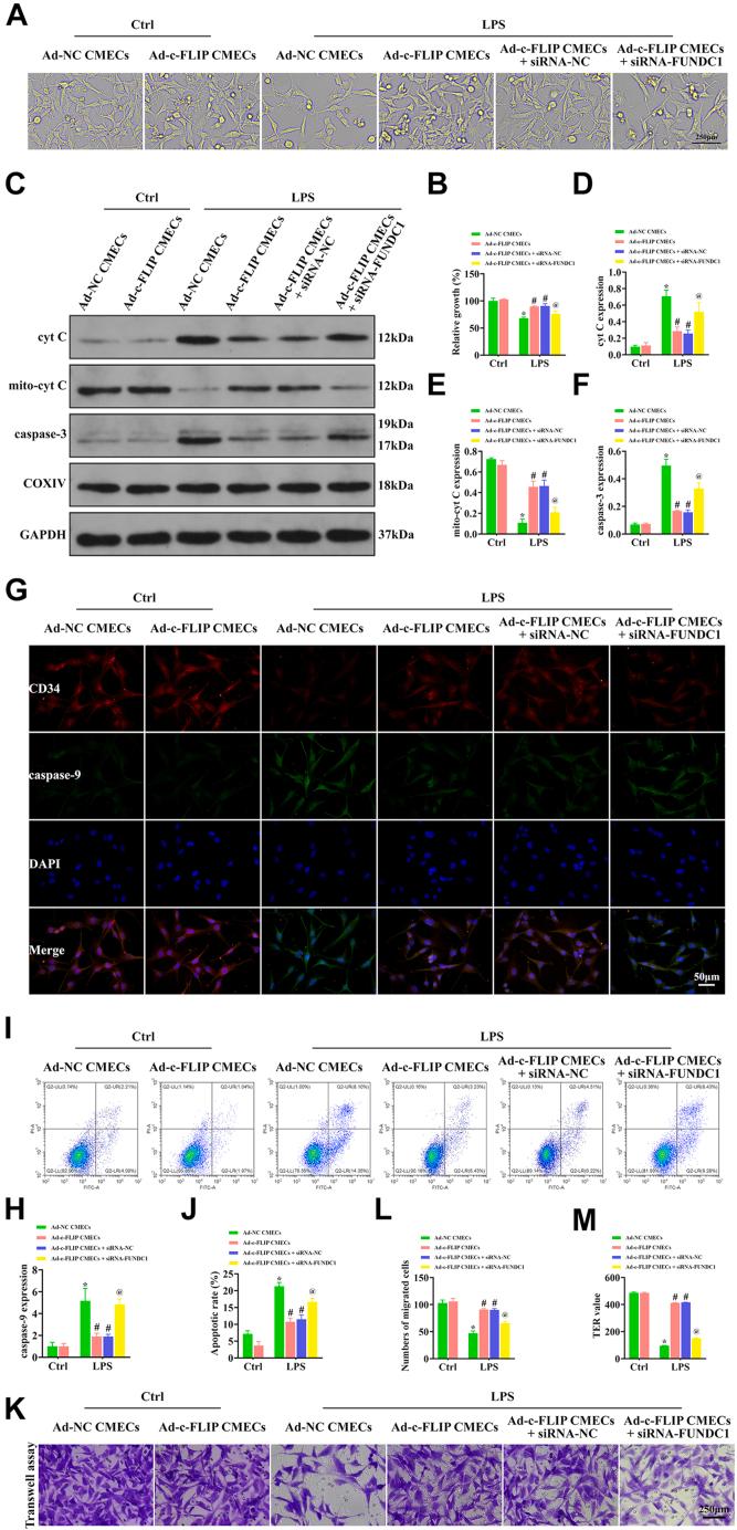 https://cdn.ncbi.nlm.nih.gov/pmc/blobs/d27b/12399170/4723930d0f86/gr8.jpg