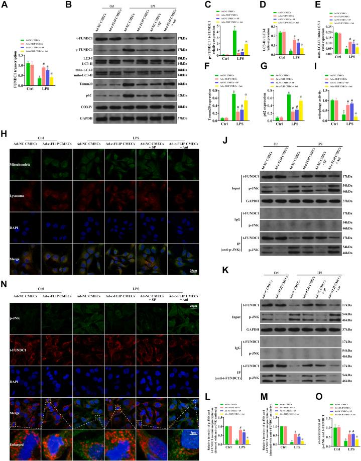 https://cdn.ncbi.nlm.nih.gov/pmc/blobs/d27b/12399170/778f0505d36b/gr9.jpg