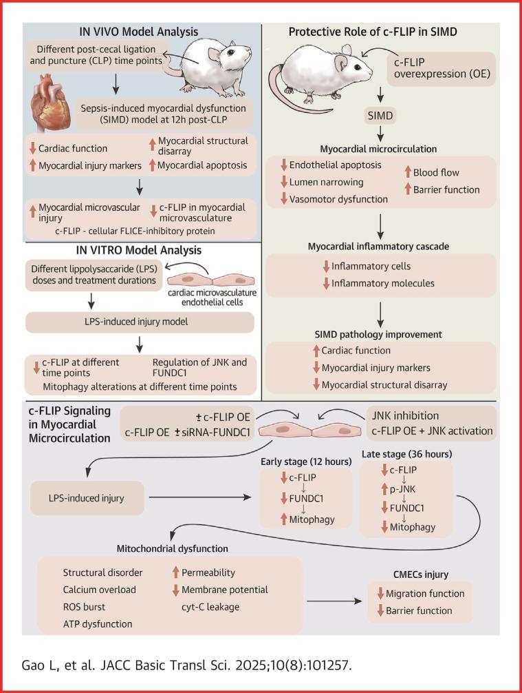 https://cdn.ncbi.nlm.nih.gov/pmc/blobs/d27b/12399170/c921662f4796/ga1.jpg