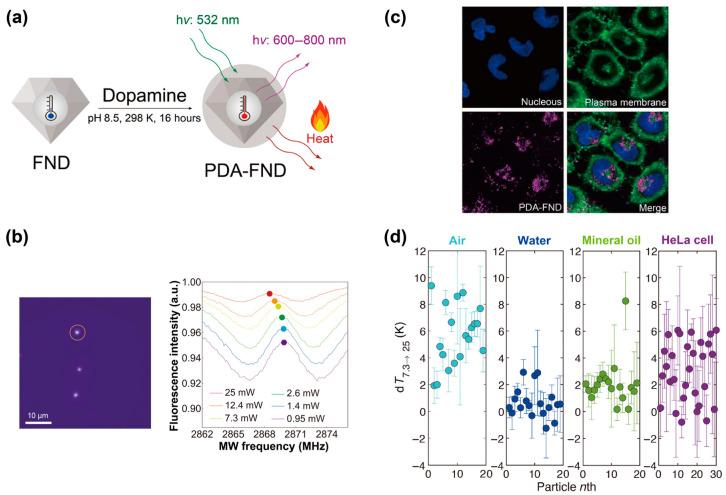 https://cdn.ncbi.nlm.nih.gov/pmc/blobs/d27e/11274460/020b6931a15e/biosensors-14-00340-g003.jpg
