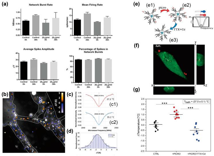 https://cdn.ncbi.nlm.nih.gov/pmc/blobs/d27e/11274460/bc964cafa7e4/biosensors-14-00340-g002.jpg
